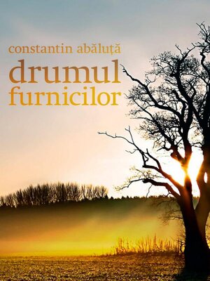 cover image of Drumul furnicilor